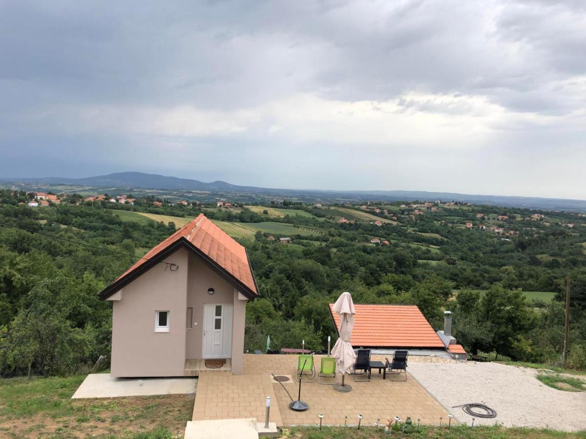 Vila Pogled Apartment Arandjelovac Exterior photo